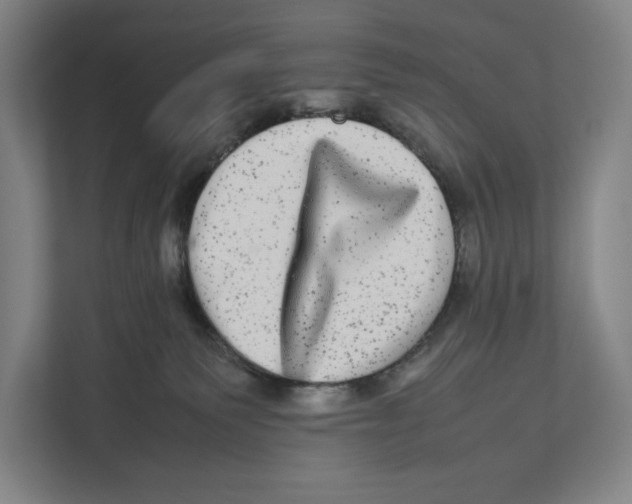 X0000111840135200908201224