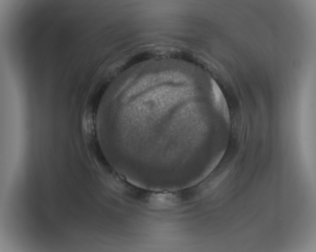 X0000111840137200908201224