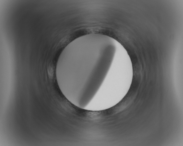 X0000111840139200908201224