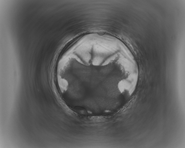 X0000111840145200908201224