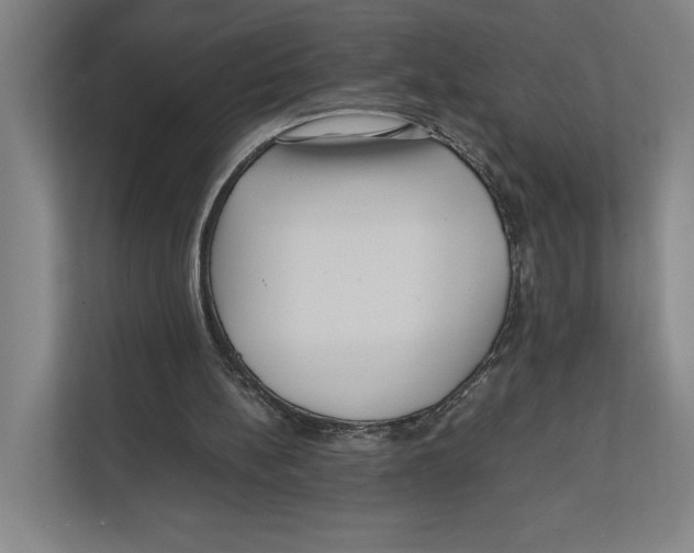 X0000111840148200908201224