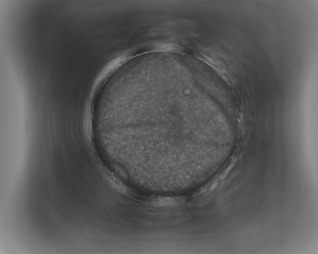 X0000111840149200908201224