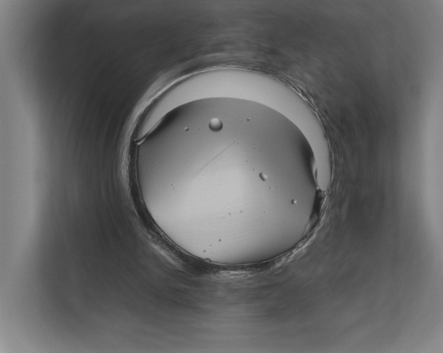 X0000111840150200908201224