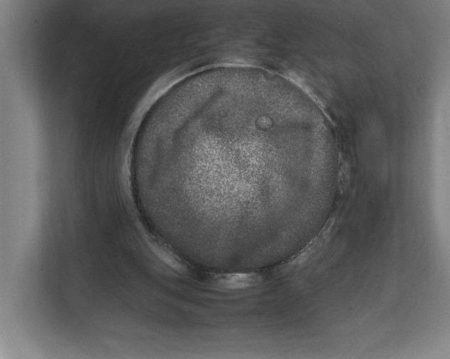 X0000111840151200908201224