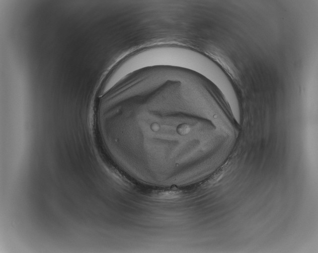 X0000111840156200908201224