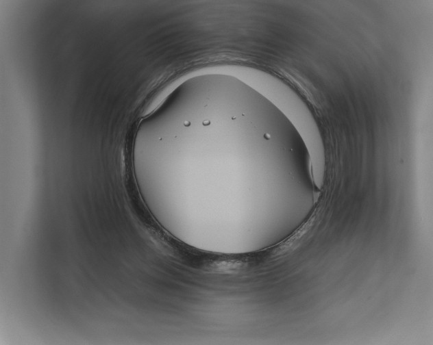 X0000111840158200908201224