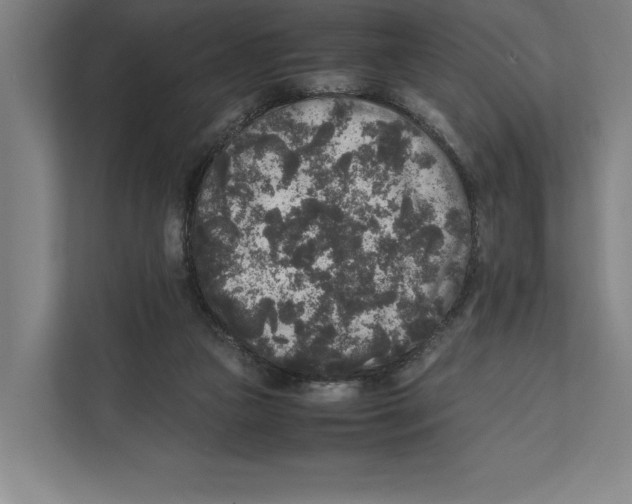 X0000111840161200908201224