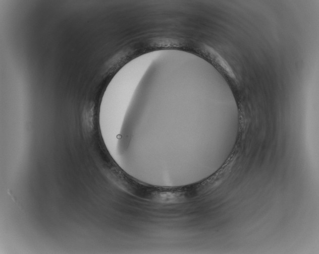 X0000111840163200908201224