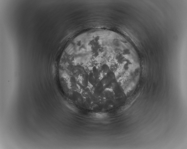 X0000111840165200908201224