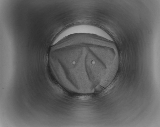 X0000111840168200908201224