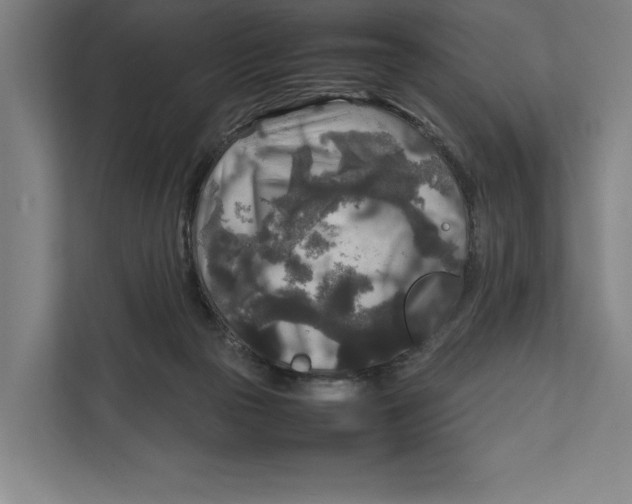 X0000111840169200908201224