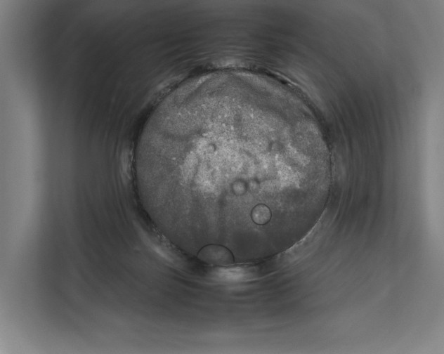 X0000111840171200908201224