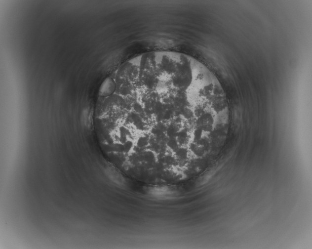 X0000111840177200908201224