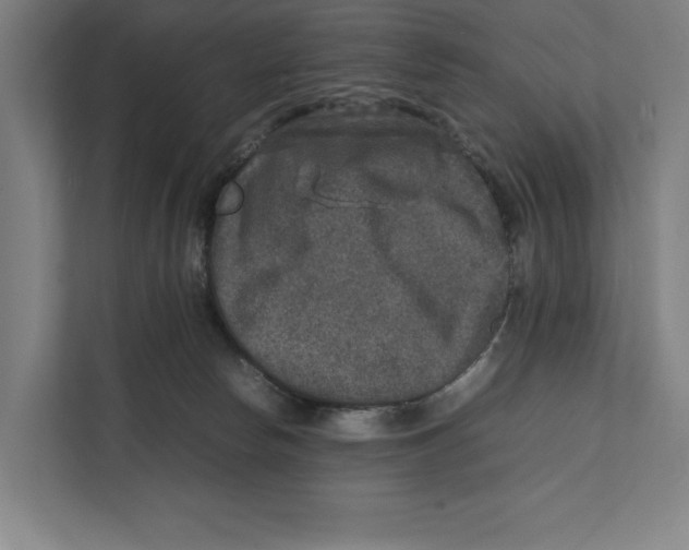 X0000111840178200908201224