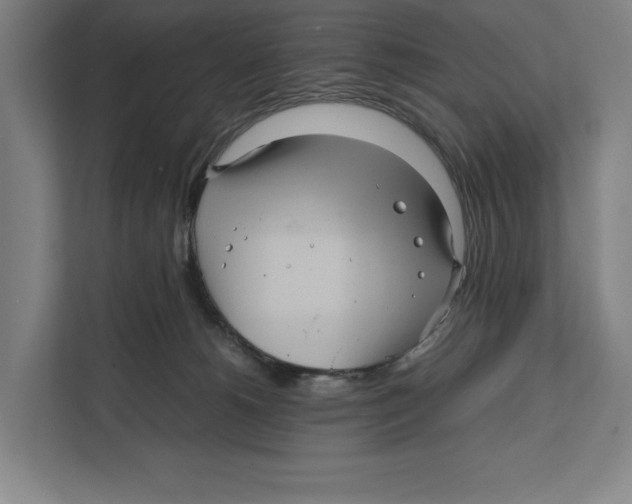 X0000111840180200908201224