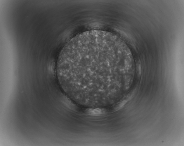 X0000111840181200908201224