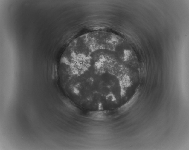 X0000111840182200908201224