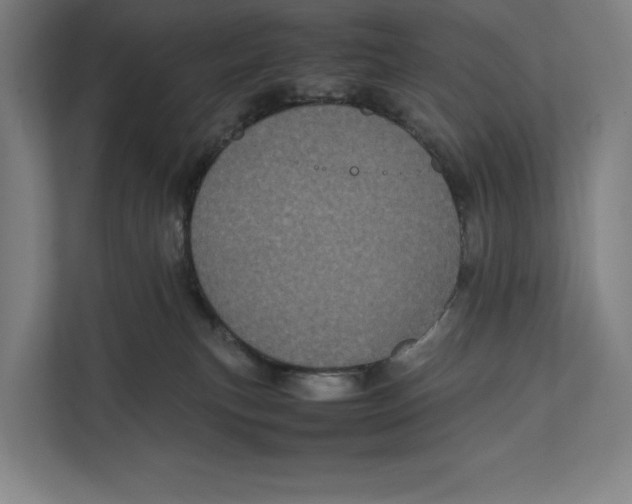 X0000111840183200908201224