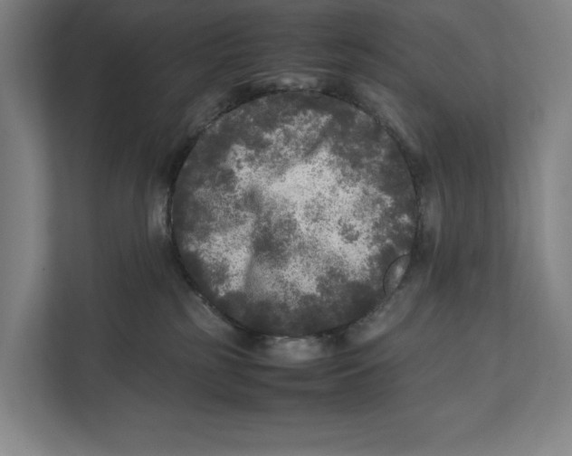 X0000111840185200908201224