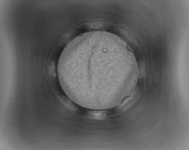 X0000111840187200908201224