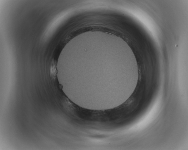 X0000111840190200908201224