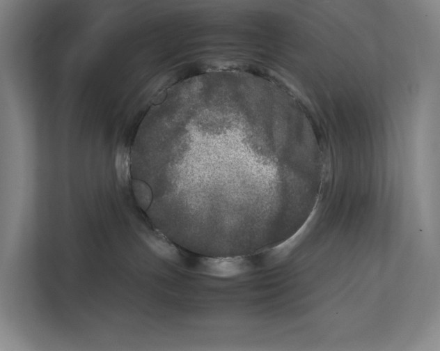 X0000111840191200908201224