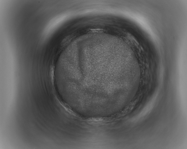 X0000111840194200908201224