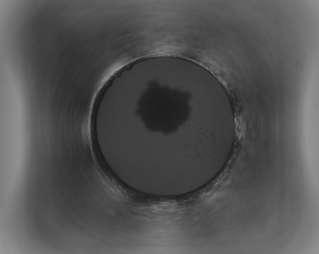 X0000111840196200908201224