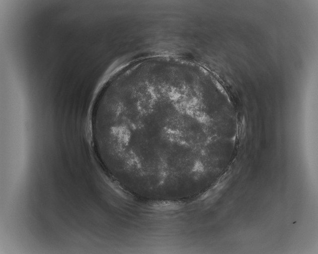 X0000111840198200908201224