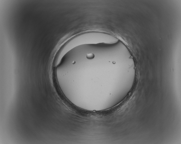 X0000111840199200908201224