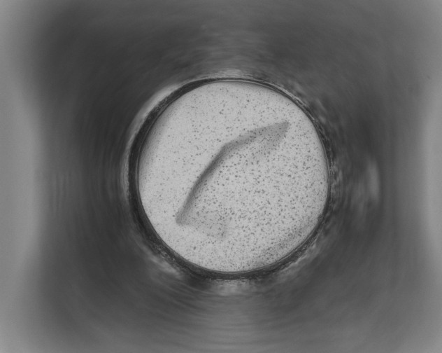 X0000111840200200908201224