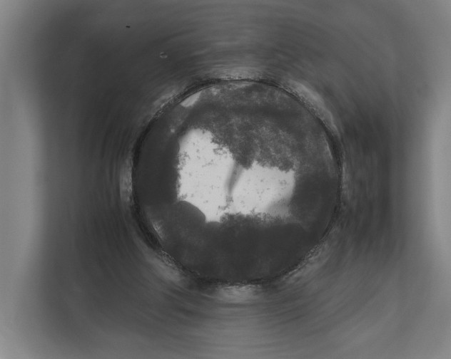 X0000111840202200908201224