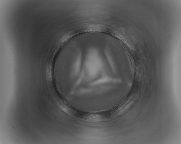 X0000111840203200908201224