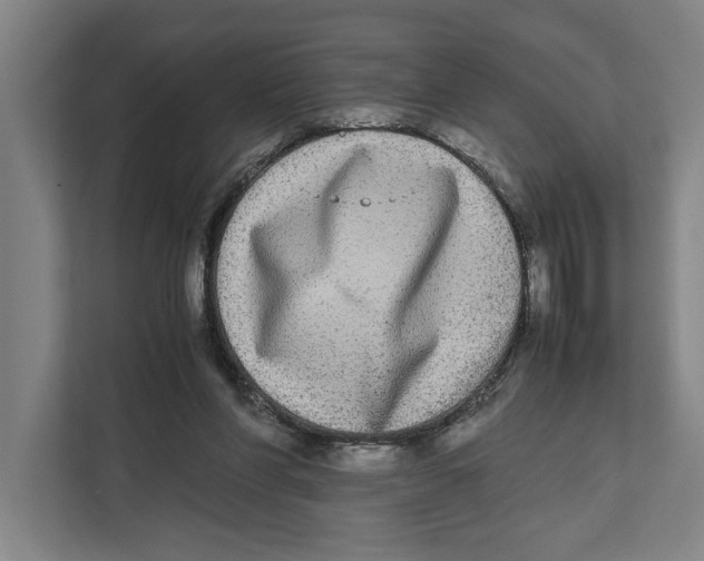 X0000111840206200908201223