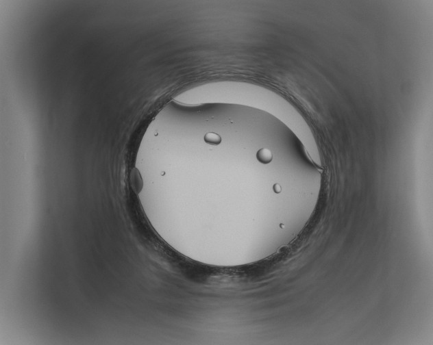 X0000111840211200908201223