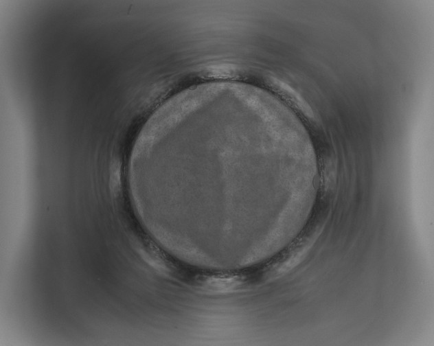 X0000111840213200908201223