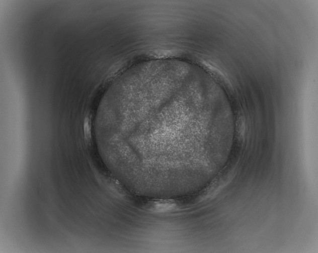 X0000111840214200908201223