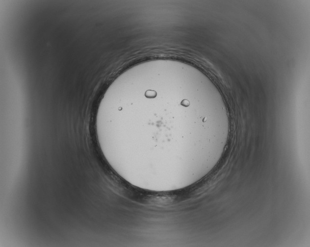 X0000111840217200908201223