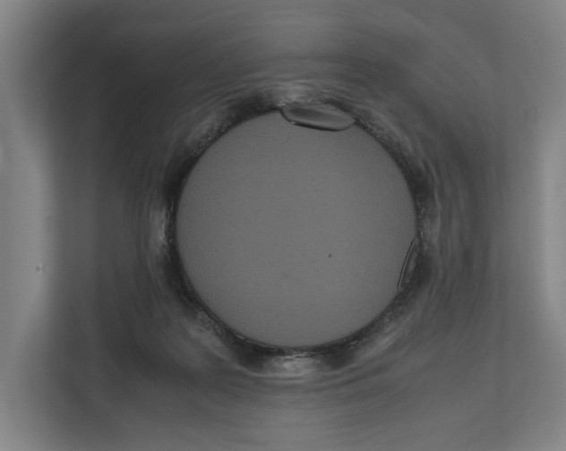 X0000111840219200908201223