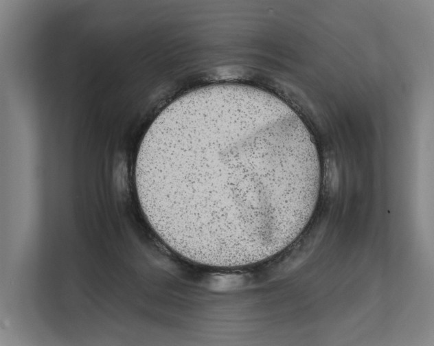 X0000111840220200908201223