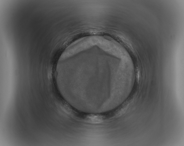 X0000111840221200908201223