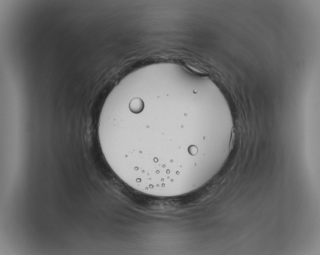 X0000111840223200908201223