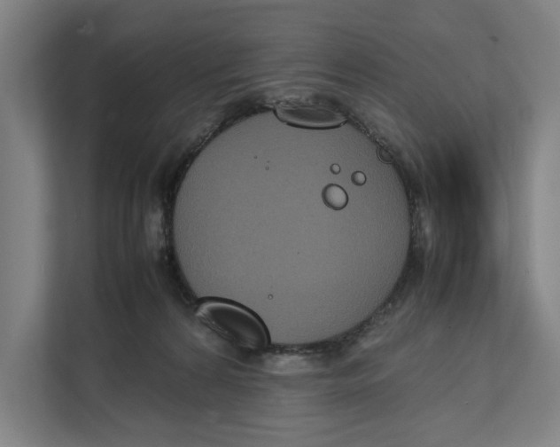 X0000111840224200908201223