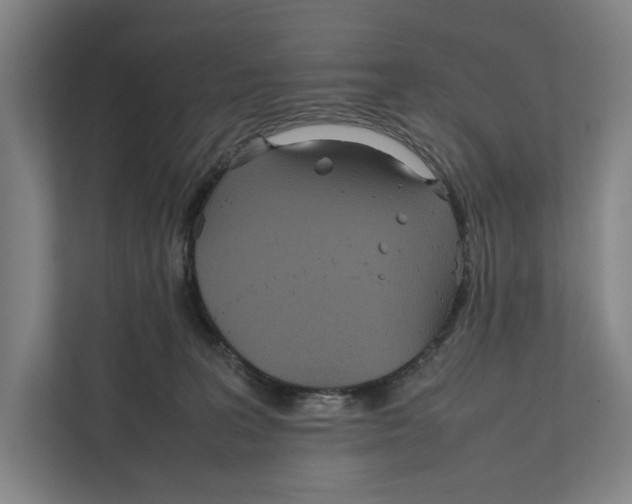 X0000111840227200908201223