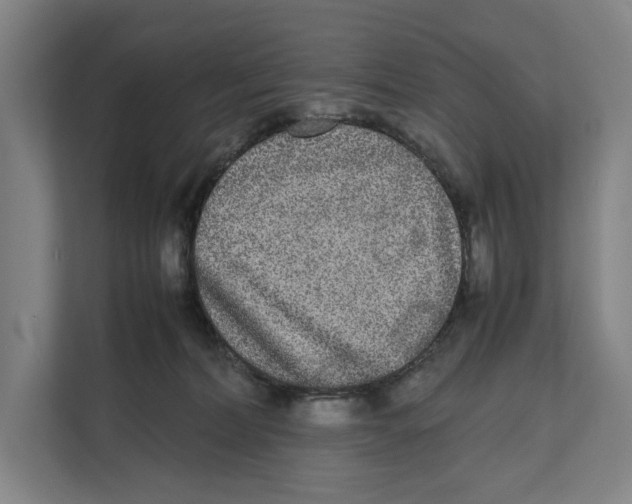 X0000111840228200908201223