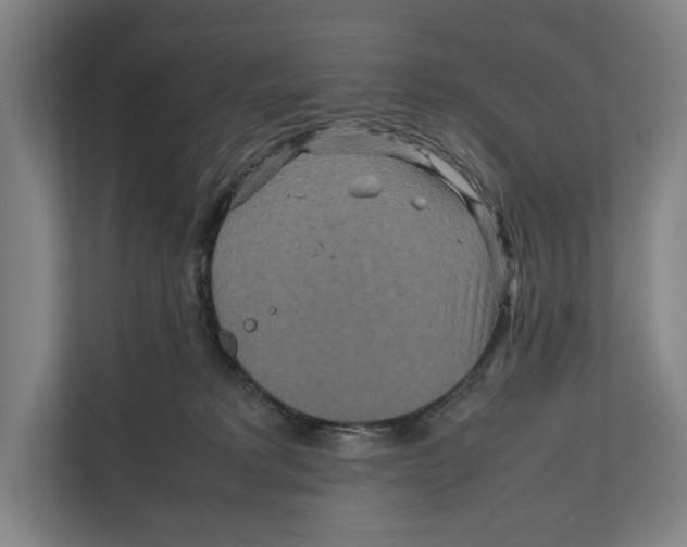 X0000111840229200908201223