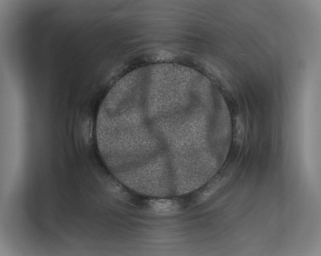 X0000111840230200908201223