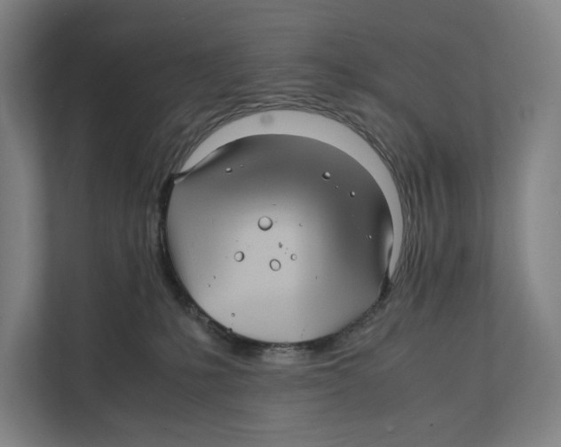 X0000111840231200908201223