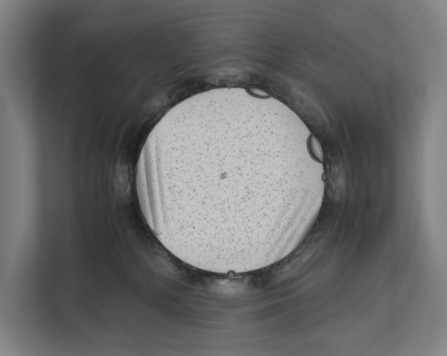 X0000111840232200908201223