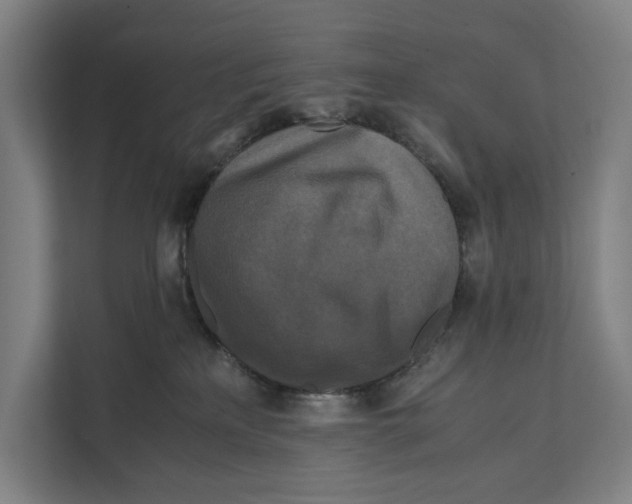 X0000111840233200908201223